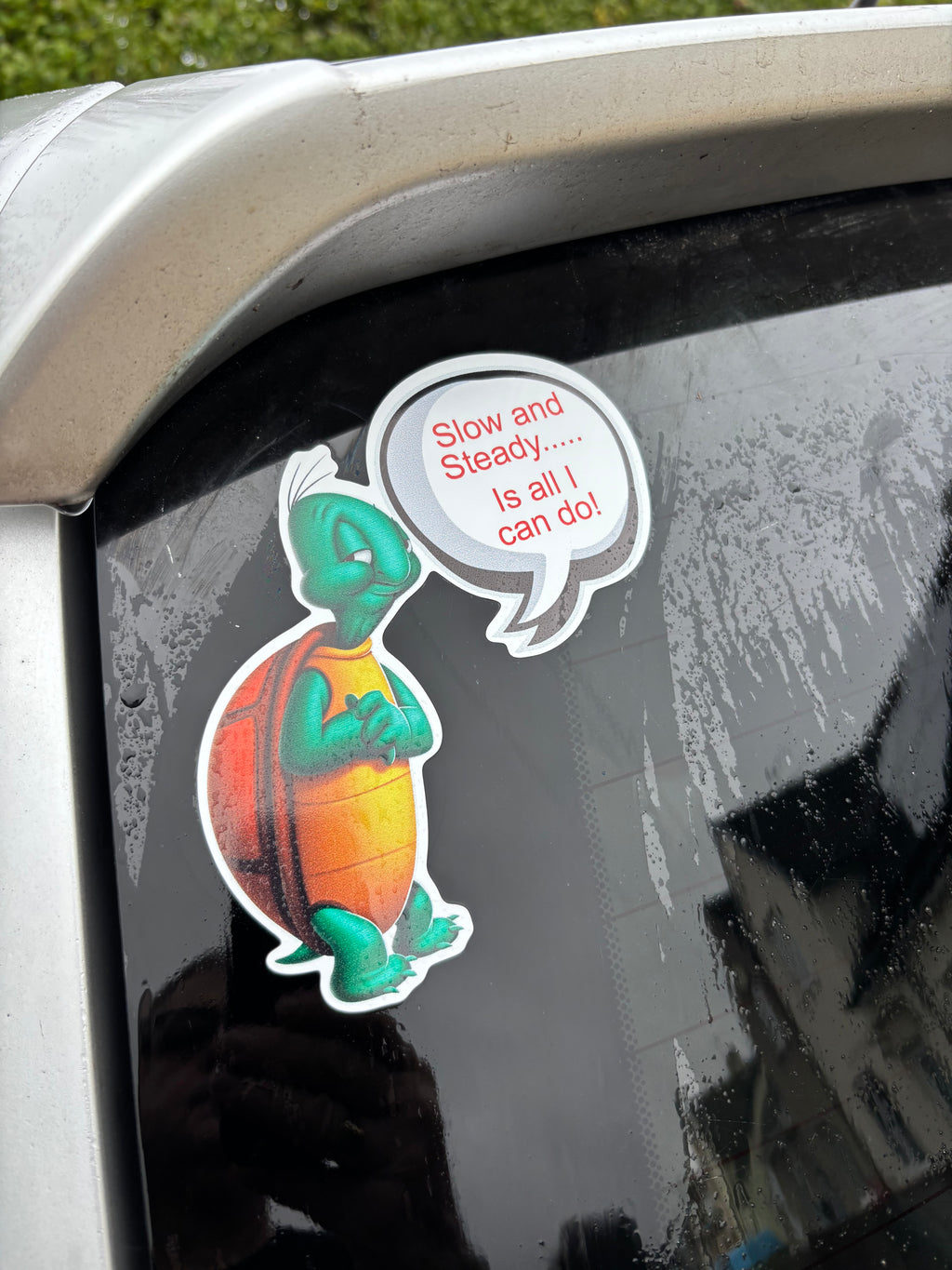 vinyl car graphics stickers funny decals