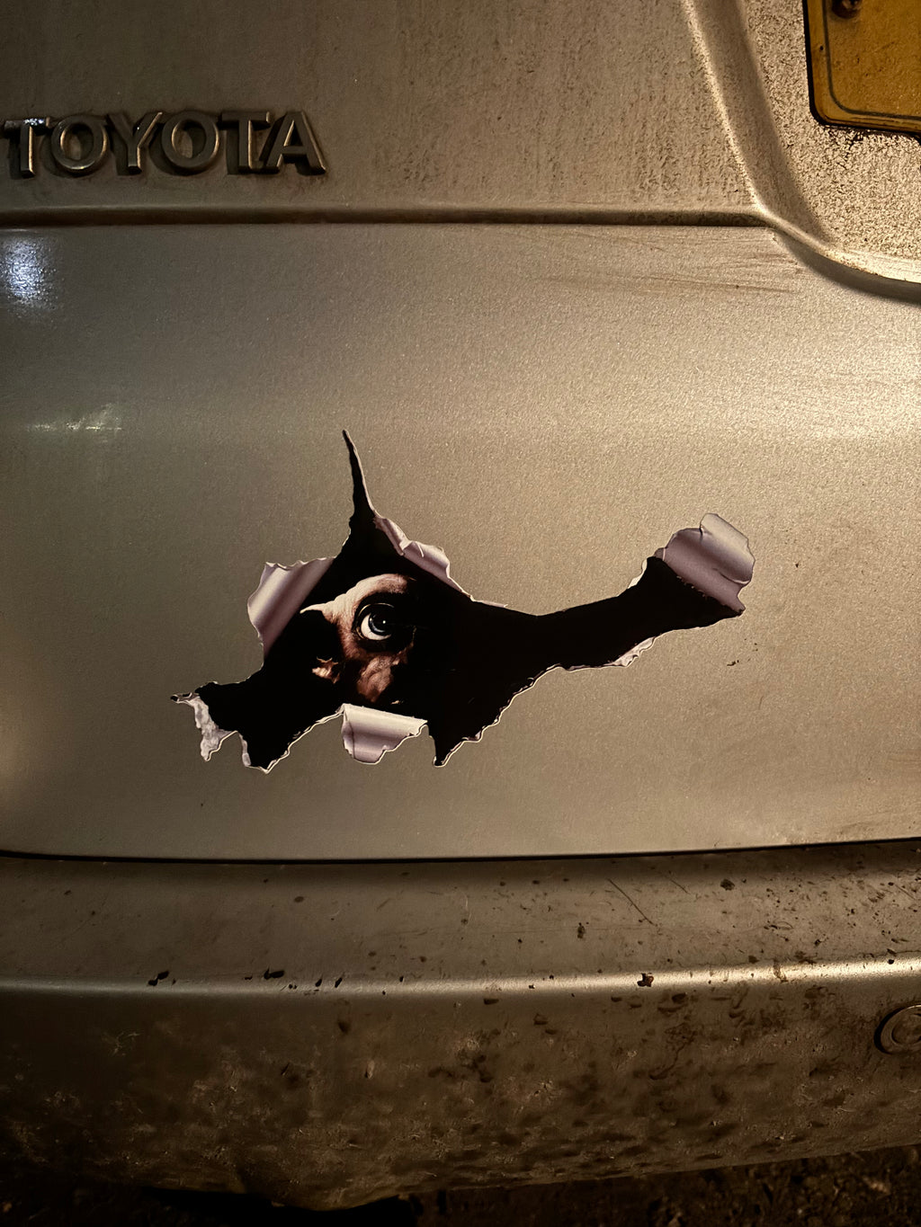 DOBBY IN A HOLE CAR STICKER