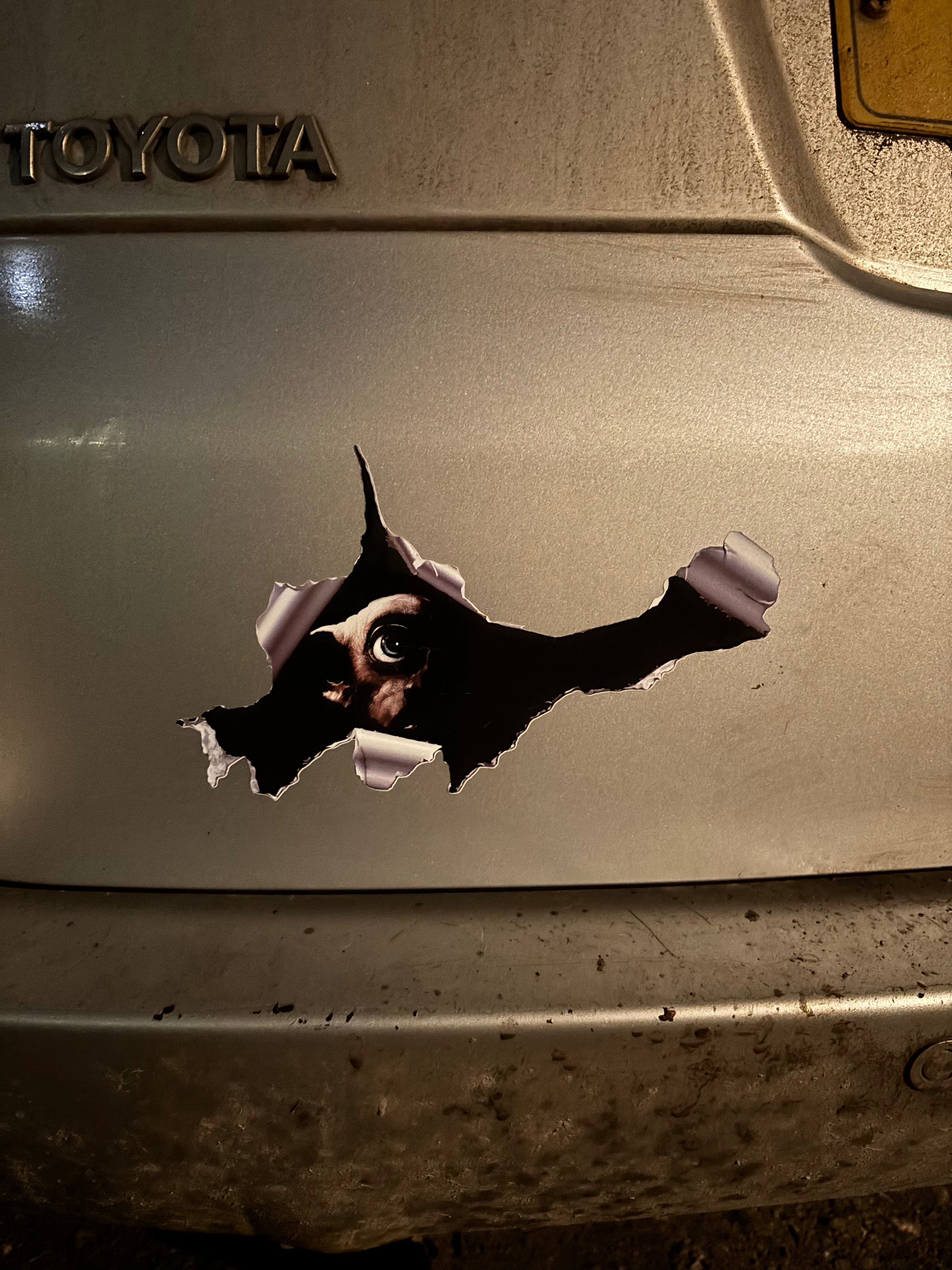 DOBBY IN A HOLE CAR STICKER