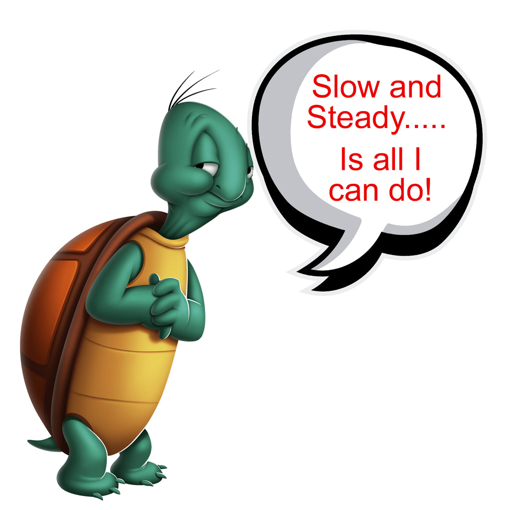 vinyl car graphics stickers funny decals